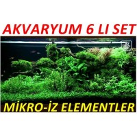 Akvaryum Mikro Set Eser Elementler 6 Lı Set