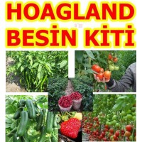 Hoagland Besin Kiti - Topraksız Tarım - Toz Besin Eriyiği